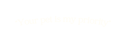 Your pet is my priority